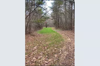 1579 Rockton Thruway Road, Winnsboro, SC 29180 - Photo 58