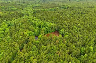 1579 Rockton Thruway Rd, Winnsboro, SC 29180 - Photo 42