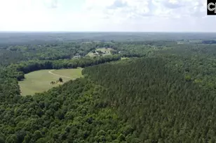 3296 Flat Rock Rd, Westville, SC 29067 - Photo 28