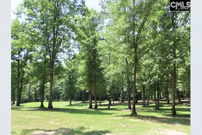 3296 Flat Rock Road, Westville, SC 29067 - Photo 6