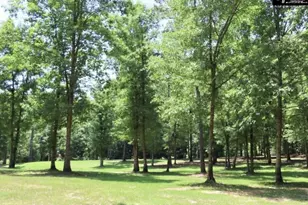 3296 Flat Rock Rd, Westville, SC 29067 - Photo 6