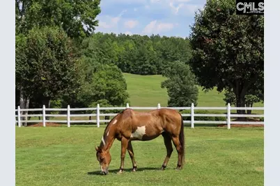 3296 Flat Rock Road, Westville, SC 29067 - Photo 20