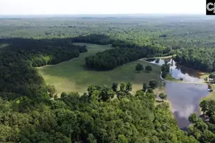 3296 Flat Rock Rd, Westville, SC 29067 - Photo 34