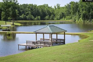 3296 Flat Rock Rd, Westville, SC 29067 - Photo 10