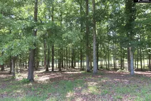 3296 Flat Rock Rd, Westville, SC 29067 - Photo 32