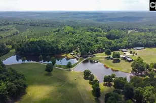 3296 Flat Rock Rd, Westville, SC 29067 - Photo 12