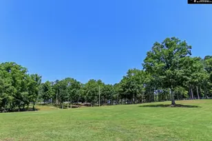3296 Flat Rock Rd, Westville, SC 29067 - Photo 46
