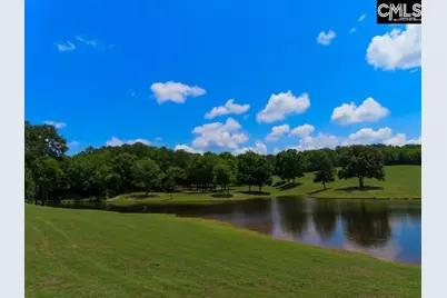 3296 Flat Rock Road, Westville, SC 29067 - Photo 38