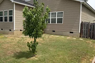 159 Whispering Oak Ln, Chapin, SC 29036 - Photo 42