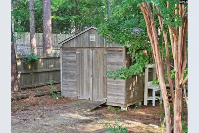 358 Bronze Drive, Lexington, SC 29072 - Photo 48