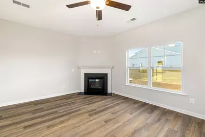 762 Clementine Run, Gilbert, SC 29054 - Photo 10
