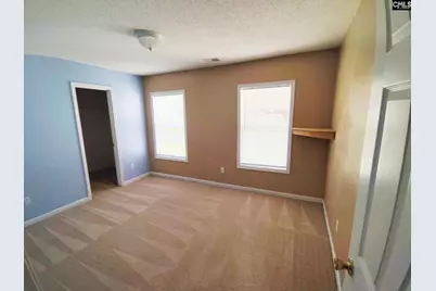 309 Cutter Court, Chapin, SC 29036 - Photo 10