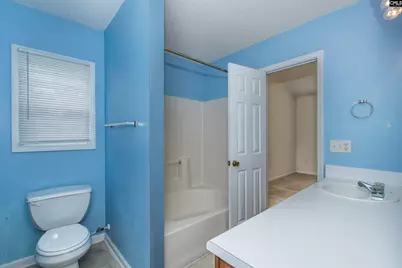 309 Cutter Court, Chapin, SC 29036 - Photo 18