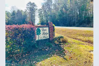 127 Deer Ridge Drive #11, Gilbert, SC 29054 - Photo 8