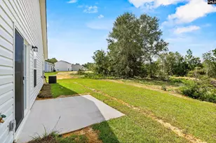 172 Calm Citadel Dr, Pelion, SC 29123 - Photo 6
