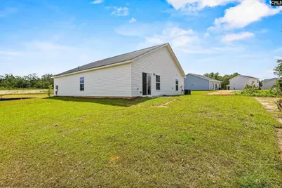 172 Calm Citadel Drive, Pelion, SC 29123 - Photo 4