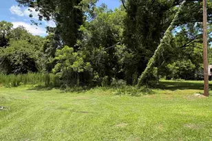 127 Feaster St, Whitmire, SC 29178 - Photo 8