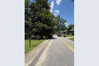 127 Feaster Street, Whitmire, SC 29178 - Photo 6