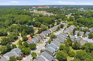 232 Chestnut Oak Ln, West Columbia, SC 29169 - Photo 34
