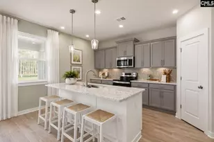 715 Topline St, Chapin, SC 29036 - Photo 8