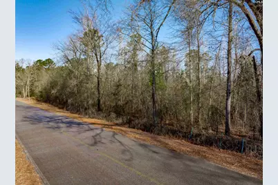 1641 Joe Collins Rd, Eastover, SC 29044 - Photo 2