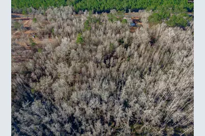 1641 Joe Collins Rd, Eastover, SC 29044 - Photo 4