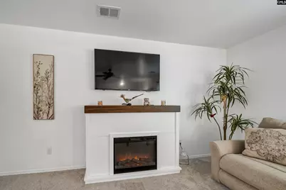 2533 Watson Street, Elgin, SC 29045 - Photo 12