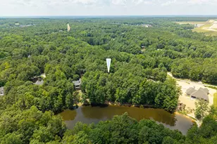204 Ashley Oaks Dr, Blythewood, SC 29016 - Photo 48