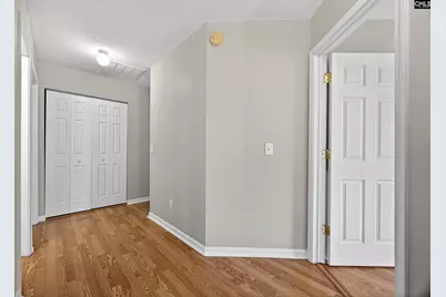 224 Walkbridge Way, Chapin, SC 29036 - Photo 32