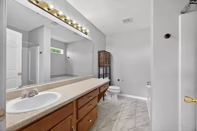 224 Walkbridge Way, Chapin, SC 29036 - Photo 26