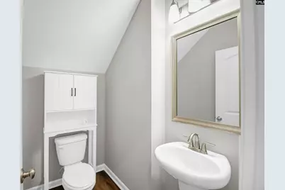 217 Wading Bird Loop, Blythewood, SC 29016 - Photo 24