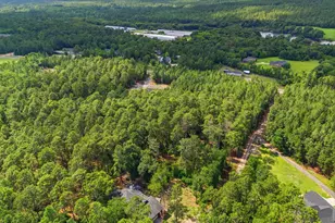 947 Ben Franklin Rd, Gilbert, SC 29054 - Photo 46
