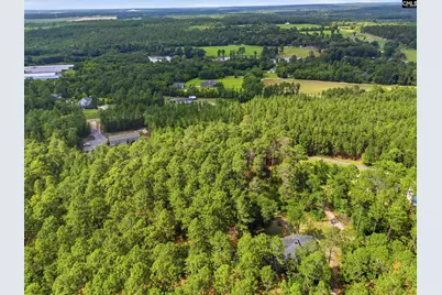 947 Ben Franklin Road, Gilbert, SC 29054 - Photo 48