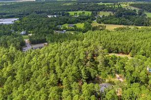 947 Ben Franklin Rd, Gilbert, SC 29054 - Photo 48