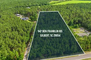 947 Ben Franklin Rd, Gilbert, SC 29054 - Photo 52