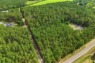 947 Ben Franklin Rd, Gilbert, SC 29054 - Photo 50