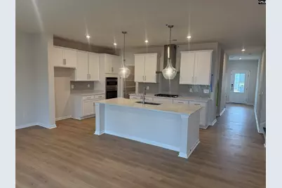 713 Feldspar Court, Chapin, SC 29036 - Photo 2