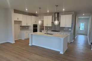 713 Feldspar Ct, Chapin, SC 29036 - Photo 2