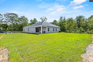 184 Calm Citadel Dr, Pelion, SC 29123 - Photo 4