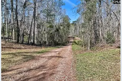 109 Hooterville Drive, Blythewood, SC 29016 - Photo 30
