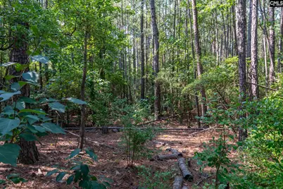 1633 Old Stagecoach Road, Camden, SC 29020 - Photo 12