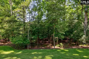 1756 Wash Lever Rd, Little Mountain, SC 29075 - Photo 36