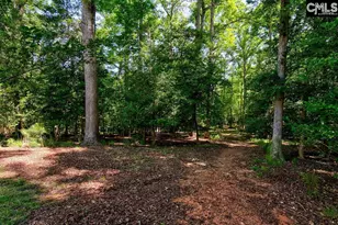 1756 Wash Lever Rd, Little Mountain, SC 29075 - Photo 38