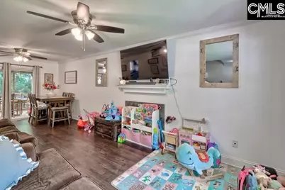 116 Firebridge Drive, Chapin, SC 29036 - Photo 4
