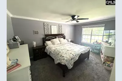 116 Firebridge Drive, Chapin, SC 29036 - Photo 18