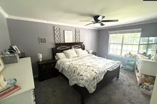 116 Firebridge Dr, Chapin, SC 29036 - Photo 18