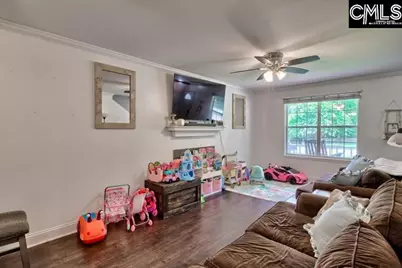 116 Firebridge Drive, Chapin, SC 29036 - Photo 8