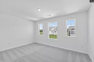 794 Ben Gunn Run, Gilbert, SC 29054 - Photo 12