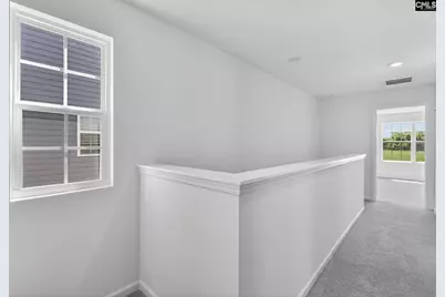 794 Ben Gunn Run, Gilbert, SC 29054 - Photo 8