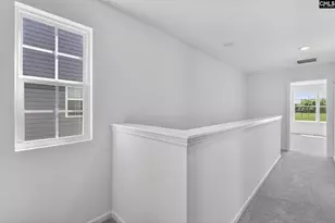 794 Ben Gunn Run, Gilbert, SC 29054 - Photo 8